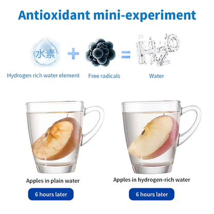 Portable Hydrogen Water Generator
