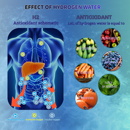 Portable Hydrogen Water Generator